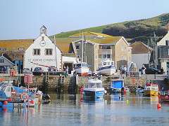 Jurassic View & Harbour Scene Self Catering