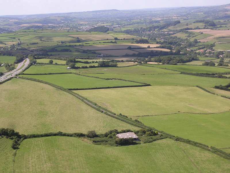 Askerswell, looking west towards Bridport