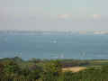 Poole Harbour from White Cliffs (John Pinchin)