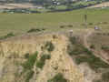 Thorncombe Beacon