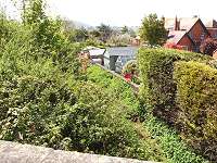 Wanderwell Cutting - 2009