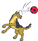 Brit Valley Dog Show