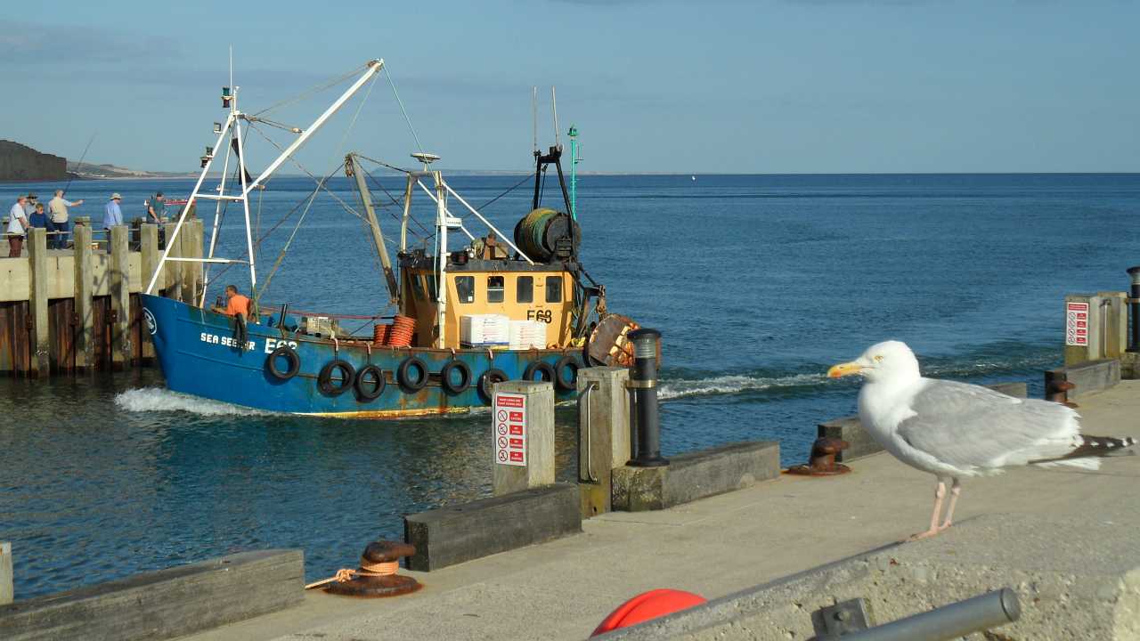 Bridport Harbour Entrance