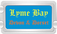Lyme Bay, Dorset