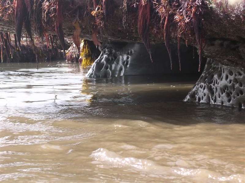 Rock ledge at Eype - Spring Equinox (Jon Harvey)