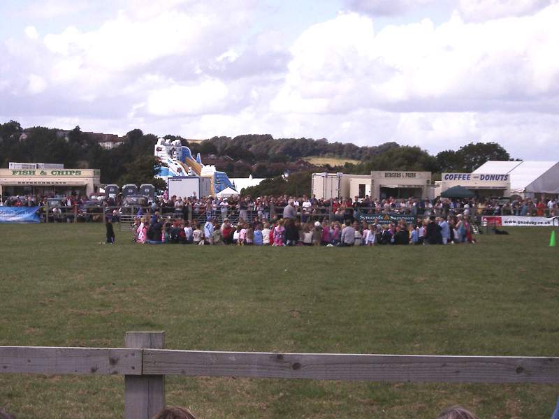 Children watching the herding display