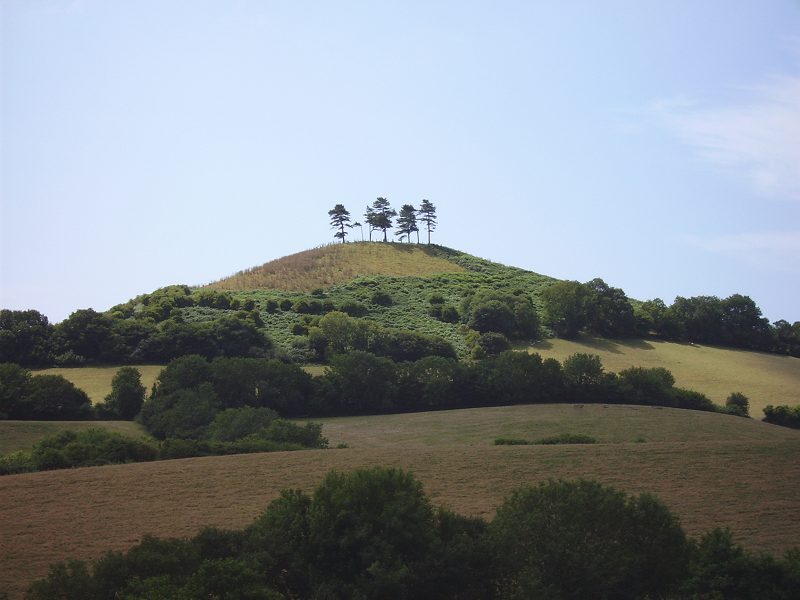 Colmer's Hill, Symondsbury