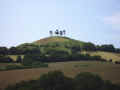 Colmer's Hill, Symondsbury
