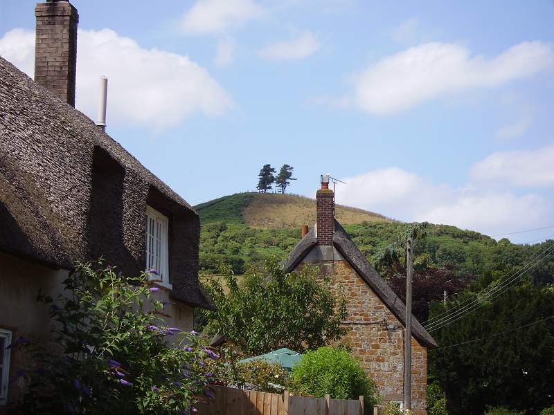 Cottages at Symondsbury