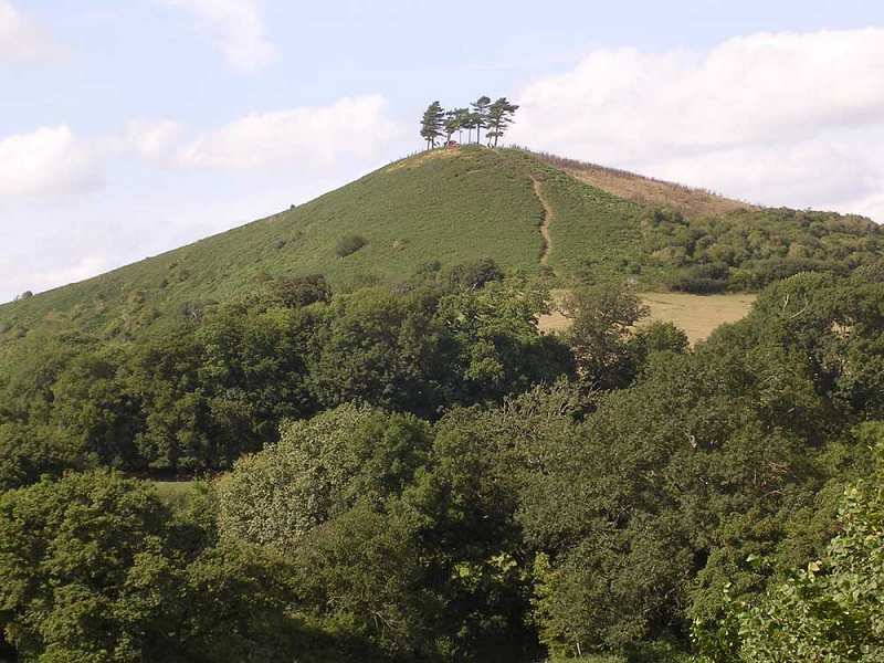 Colmers Hill, Symondsbury