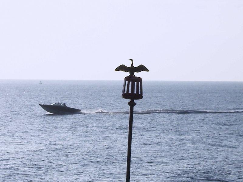 A Cormorant stands guard over West Bay