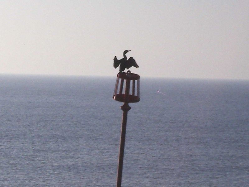 West Bay, another Cormorant stands guard