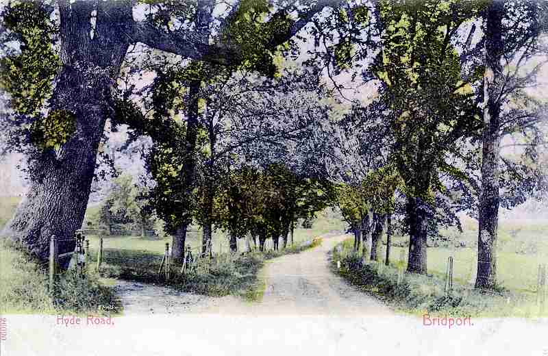 Walditch, Dorset - Hyde Road